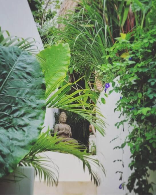 Nest Uluwatu - Eco Boutique Villa Exteriér fotografie