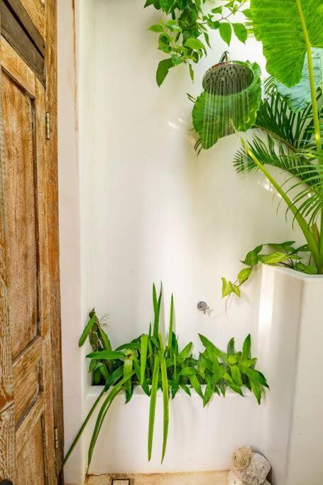 Nest Uluwatu - Eco Boutique Villa Exteriér fotografie